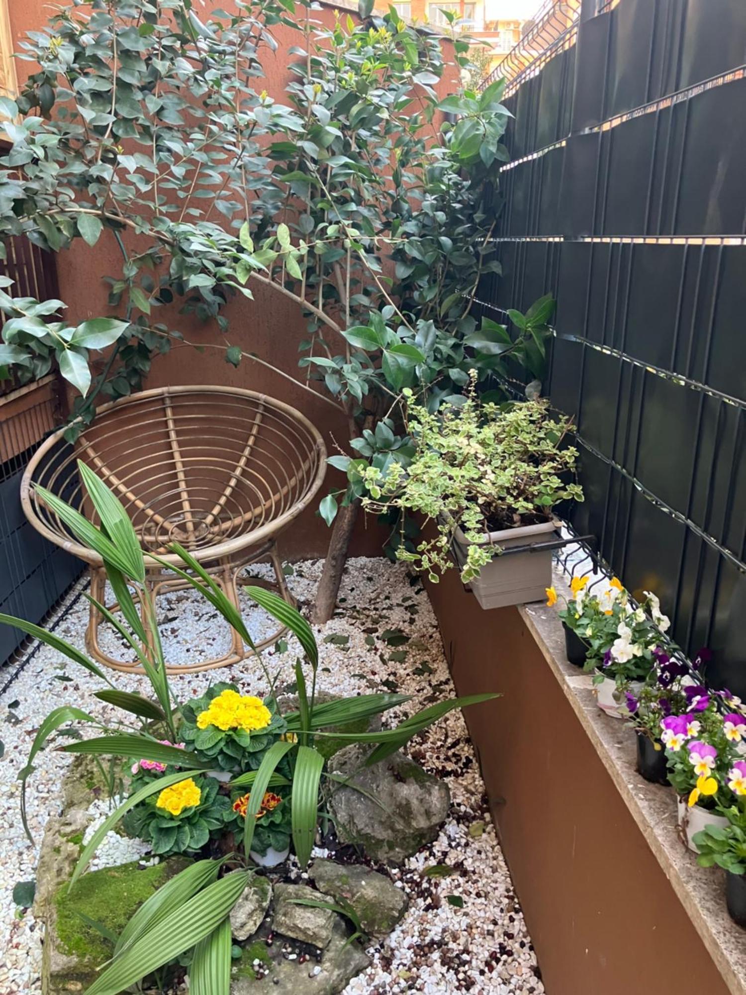 Le Rondini In Giardino Appartamento Roma
